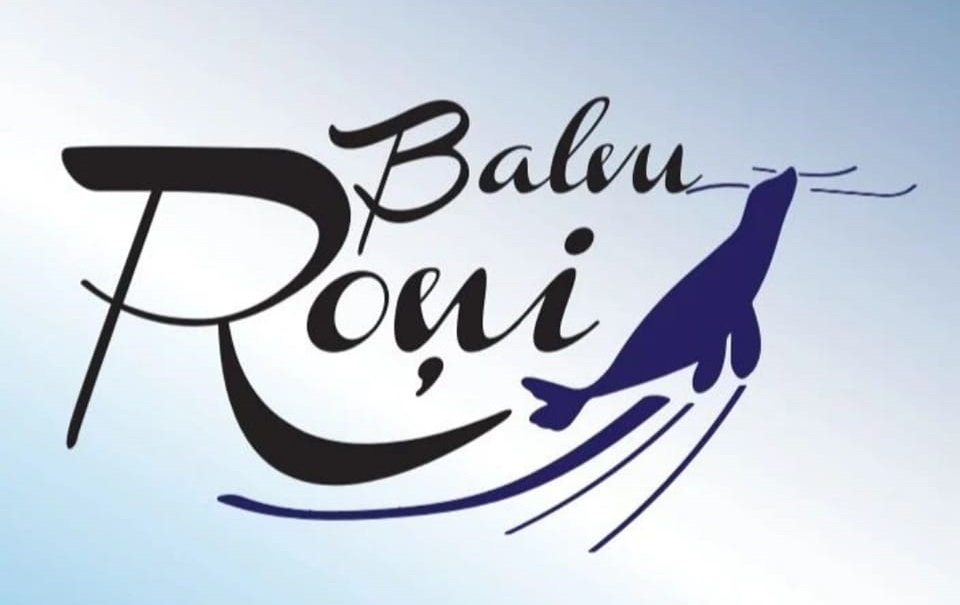 balvu-roni-logo