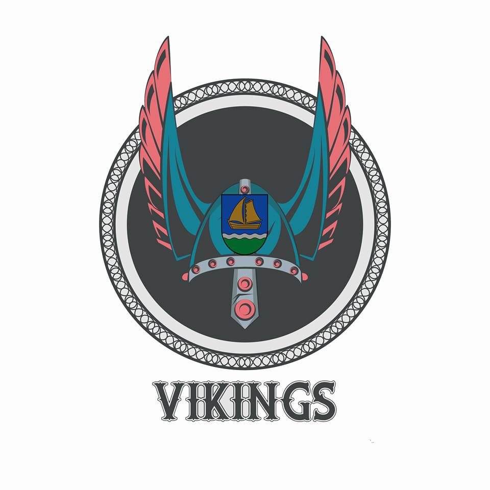 sk-vikings-logo